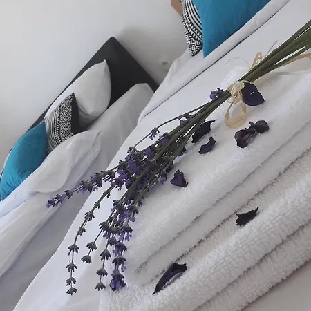 Apartment Nijona
