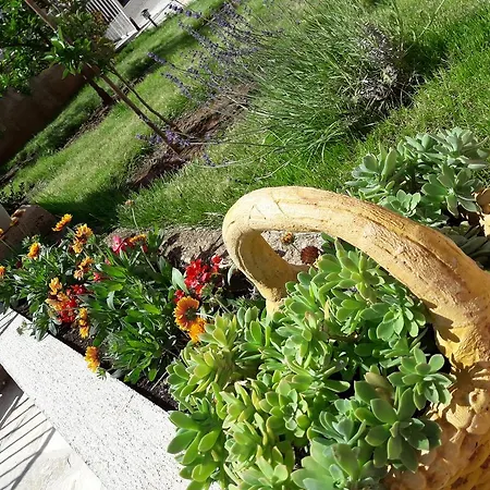 Nijona Apartamento *